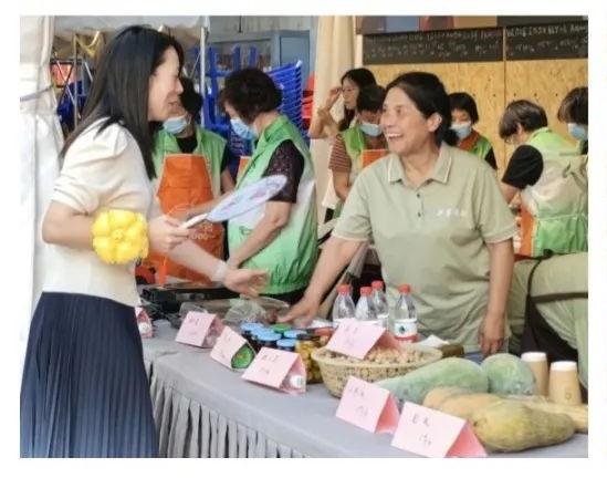 聚焦重大戰略，服務中心大局 嘉定社會組織以專業咨詢助力經濟社會高質量發展